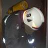 Avatar dario.esr