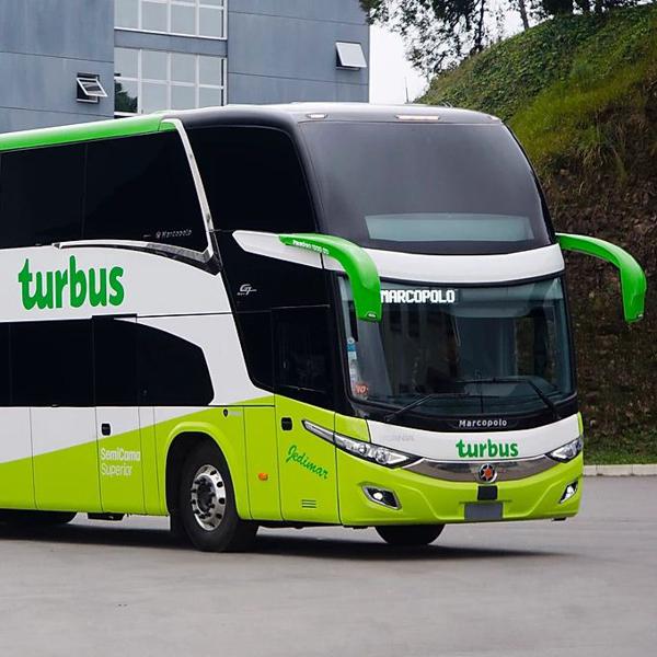 20% Dcto. En Turbus - Presencial y Online