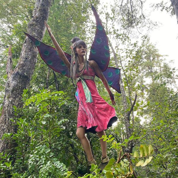 20% dcto. en Bosque Encantado Chillán y Pucón