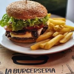 20% Dcto. en La Burgersería, Concepción