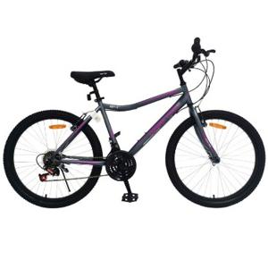 Bicicleta Mtbike Ozark Trail Aro 24 M Shs