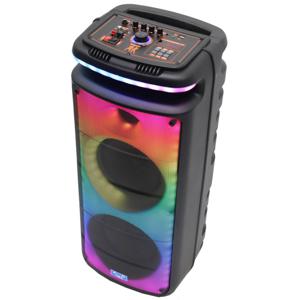 Party Speaker 8"X2 Con Micrófono Inalámbrico Recco Rka-Forte8P