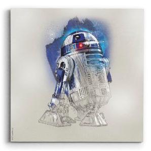 Canvas Star Wars 14 30 X 30 Cms Vais
