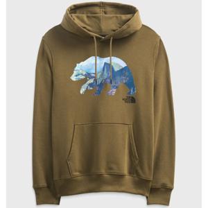 Poleron Bear Pullover Hoodie Hombre The North Face