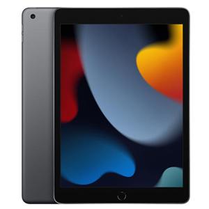 Apple Ipad 10,2" 256gb Wifi 9gen Gris Espacial