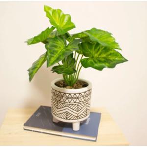 Planta Artificial Manto Eva Expert Gardener