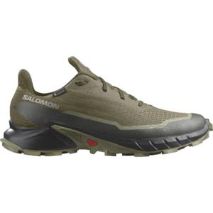 Zapatilla Hombre Alphacross 5 Gtx Verde Salomon