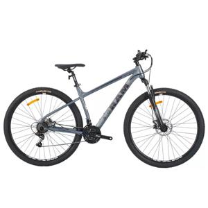 Bicicleta MTB RAM Rebel Aro 29" Unisex