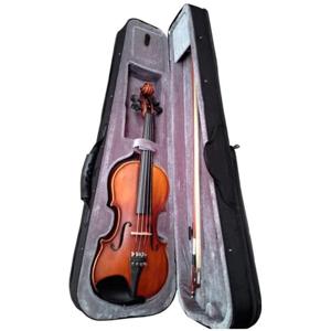 Violín Freeman Classic 4/4 Ly-8