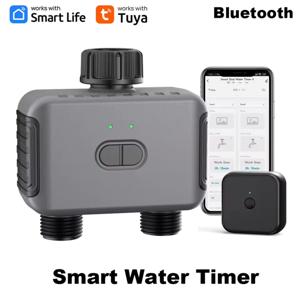 Temporizador Inteligente Riego Jardín Tuya 2 Zonas IHOMECAM