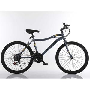 Bicicleta Infantil De Montaña Unisex Xts Aro 24 Gris