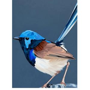 Canvas Smarco Pájaro D2 R2 50x70 cm